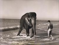 Bruce Weber LAGUNA Gelatin Silver Print - Sold for $4,800 on 02-21-2026 (Lot 359).jpg